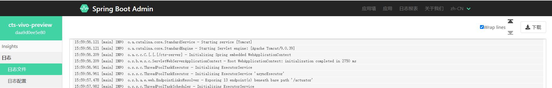 spring-boot-admin-log